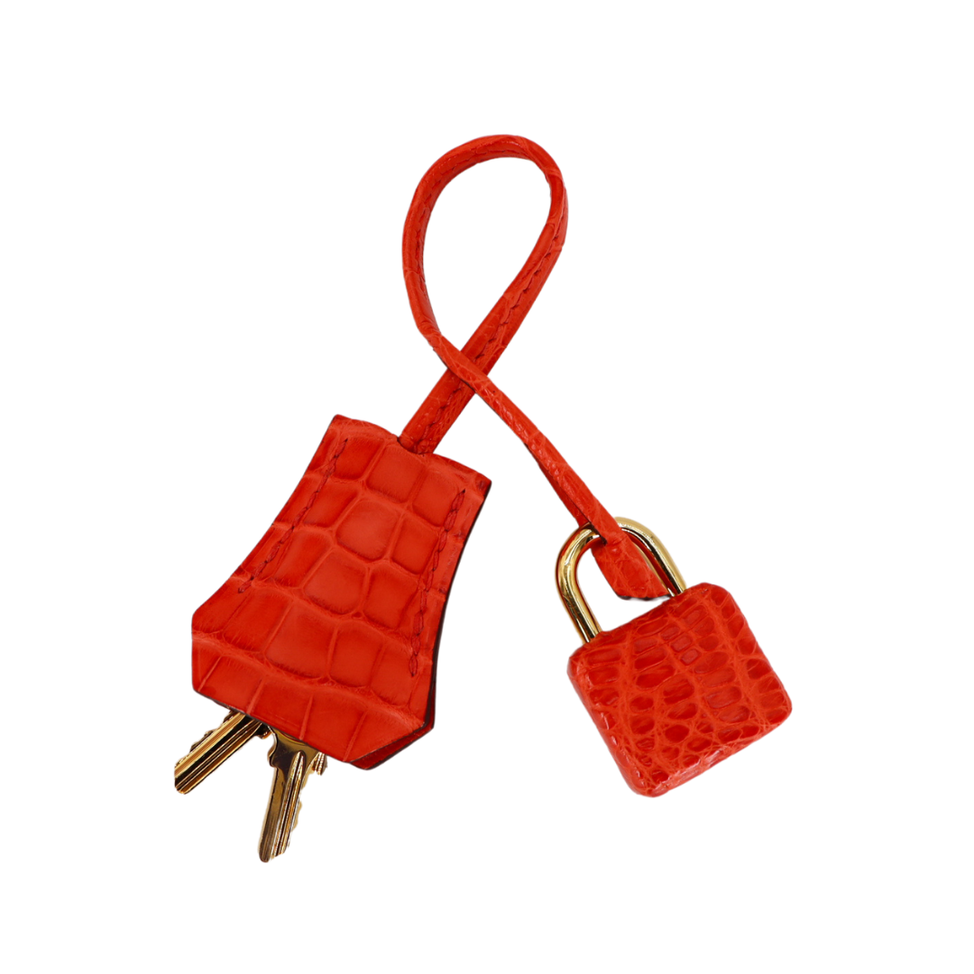 Hermès 25cm Birkin Orange Poppy Matte Alligator Gold Hardware