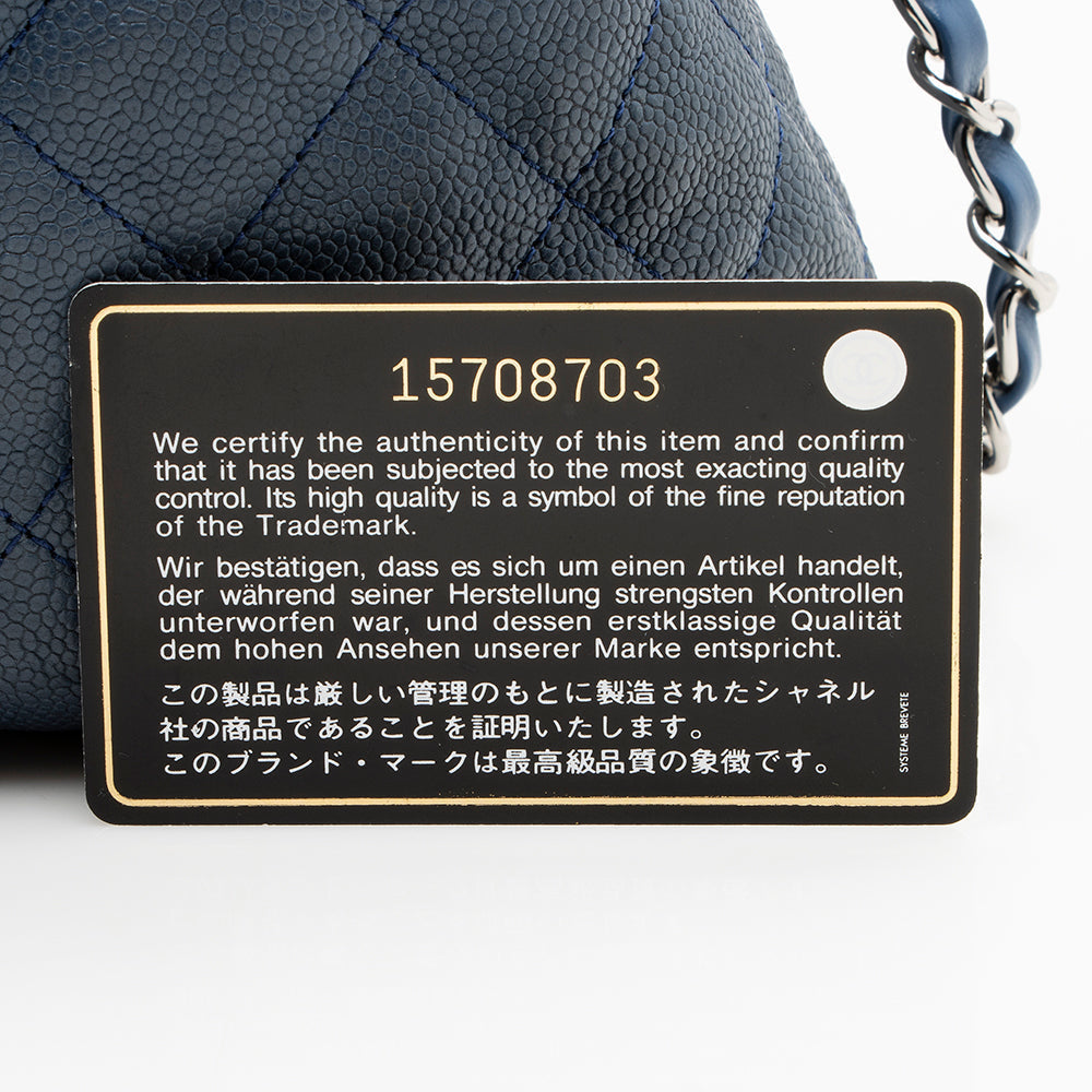 Chanel Caviar Leather French Riviera Hobo