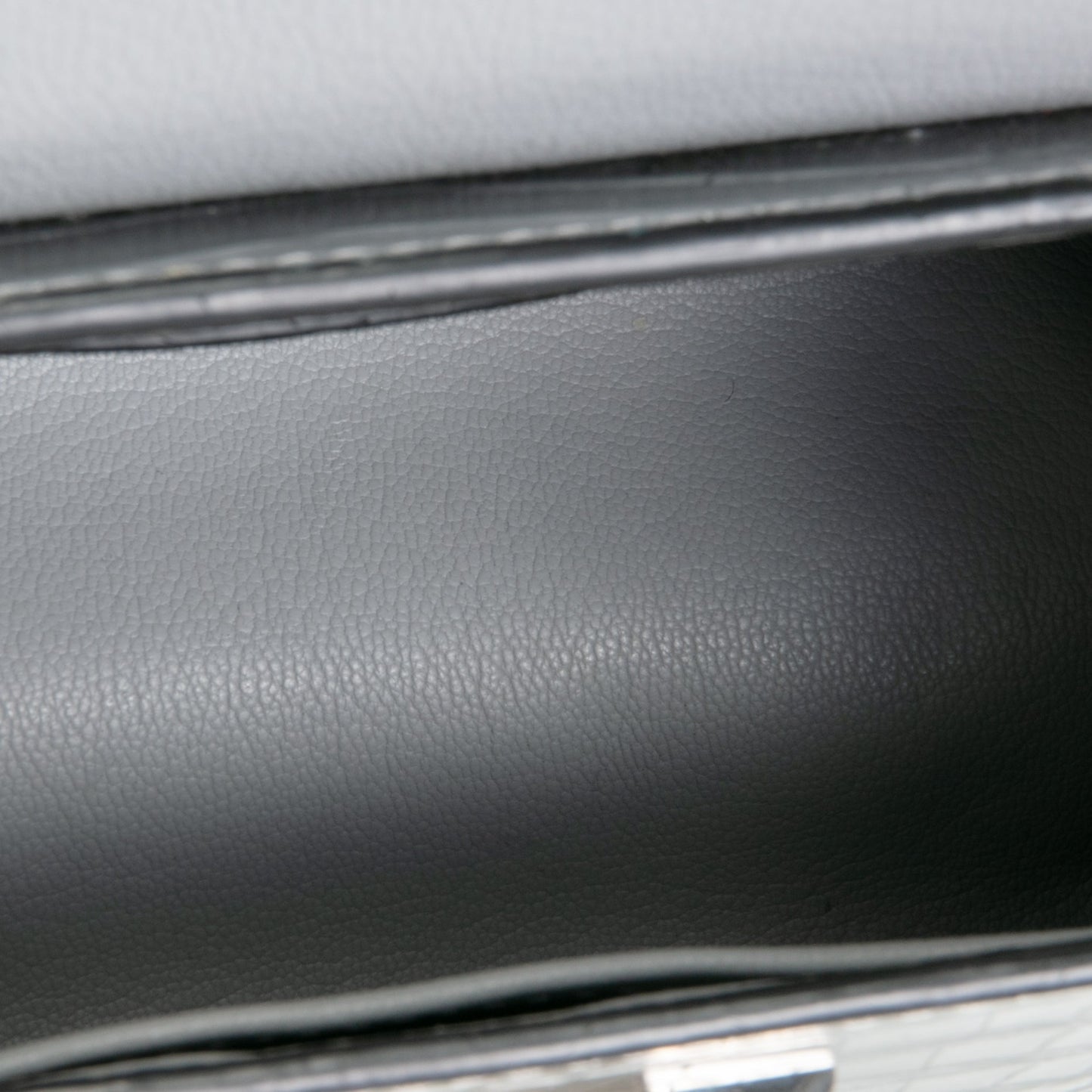 LOUIS VUITTON Crocodile Twist PM - Silver