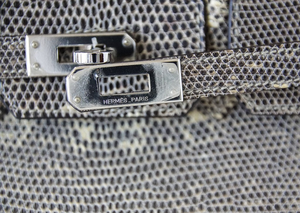 Hermès Birkin 25 Bag Ombre Lizard PHW
