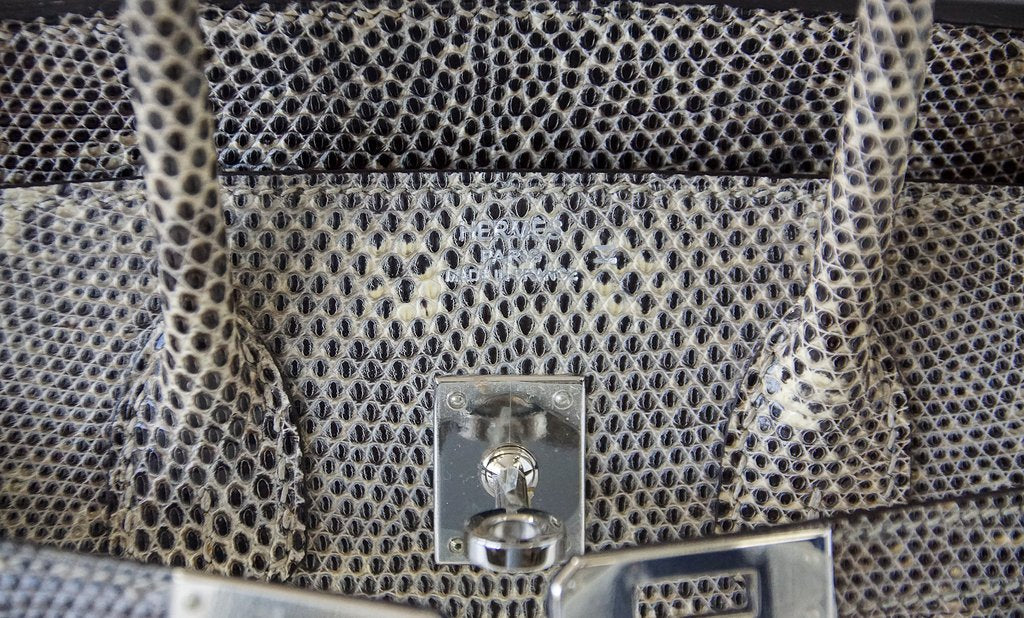 Hermès Birkin 25 Bag Ombre Lizard PHW