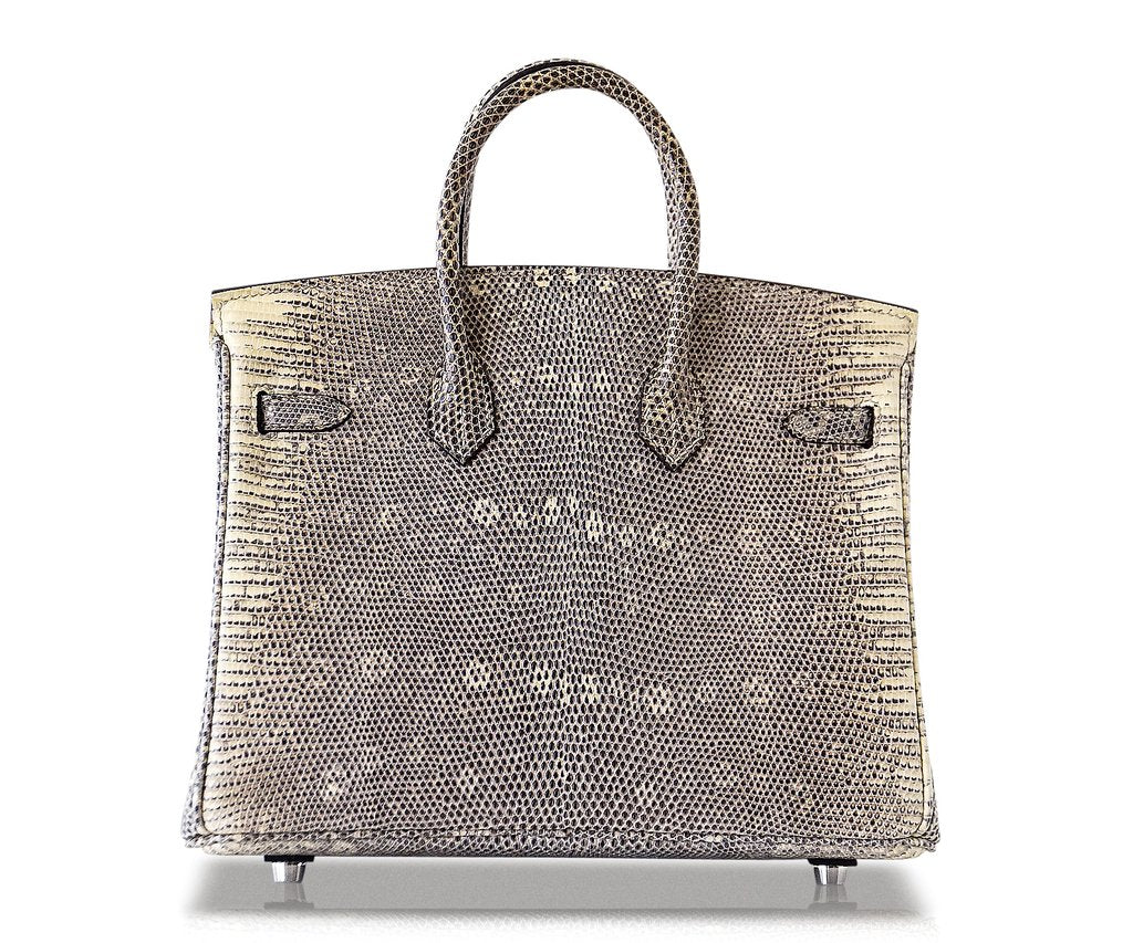 Hermès Birkin 25 Ombre Lizard Bag PHW
