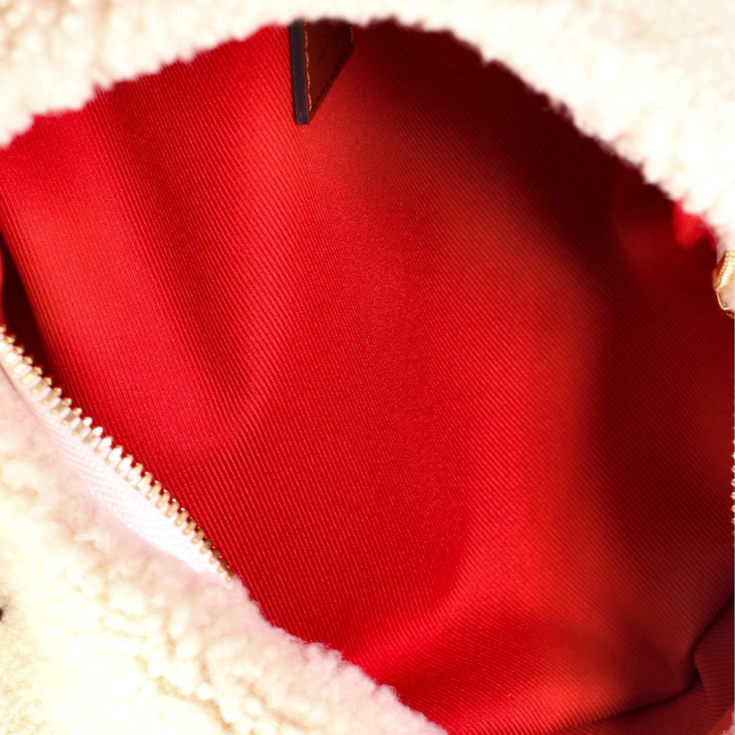 Louis Vuitton Bum Bag Monogram Giant Teddy Fleece