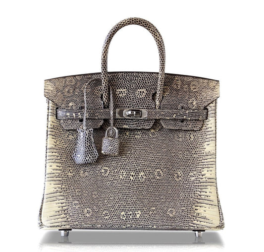 Hermès Birkin 25 Bag Ombre Lizard PHW