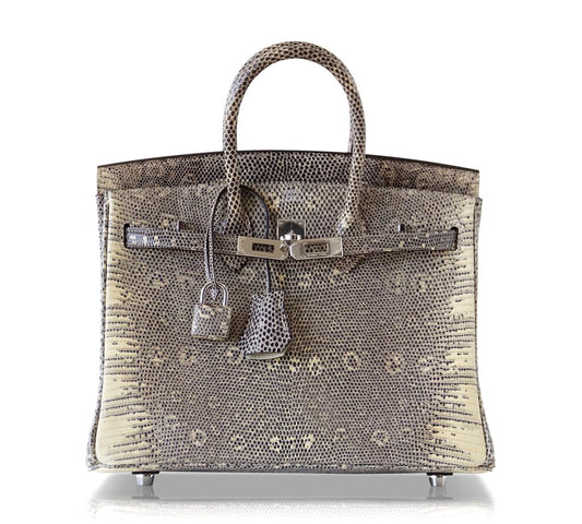 Hermès Birkin 25 Bag Ombre Lizard PHW