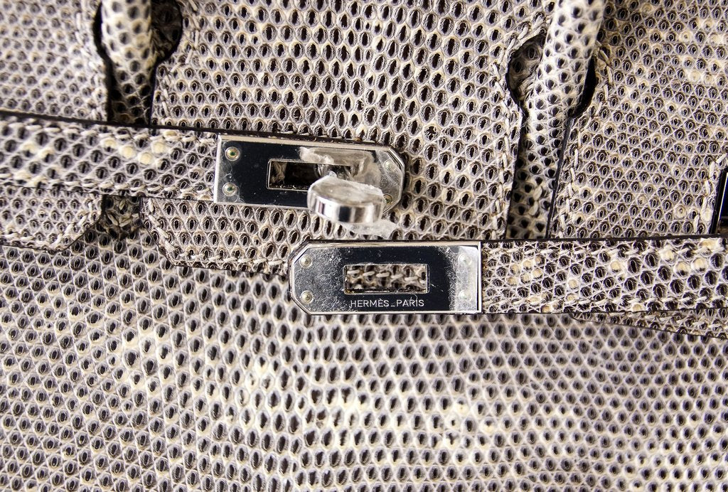 Hermès Birkin 25 Ombre Lizard Bag PHW