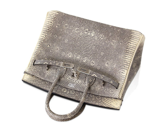 Hermès Birkin 25 Ombre Lizard Bag PHW