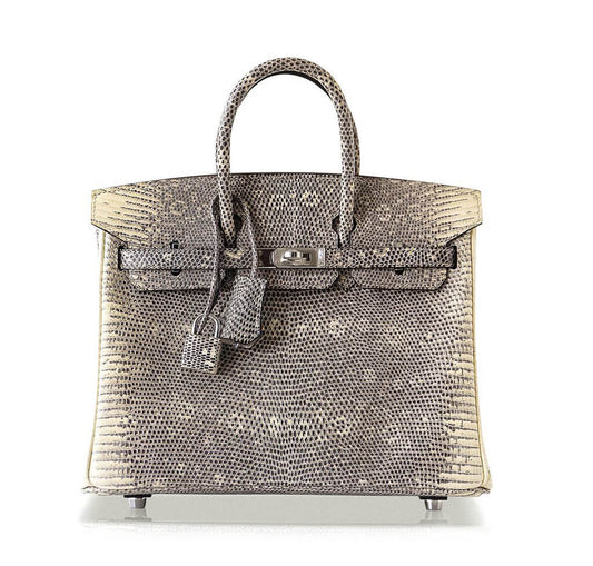 Hermès Birkin 25 Ombre Lizard Bag PHW
